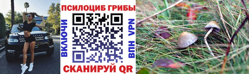 Галлюциногенные грибы GOLDEN TEACHER Починок
